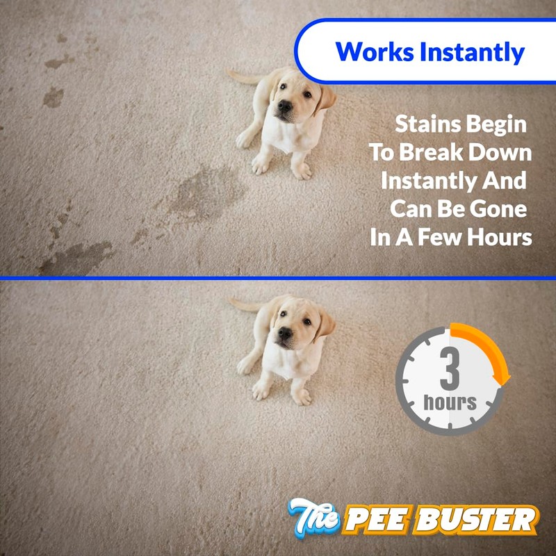 Generic Peebuster Pet Stain & Odor Remover - Cleaning Spray