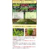 Honjien Tea Kagoshima Specialty Powdered Sencha Harumoegi 3.5 oz (100