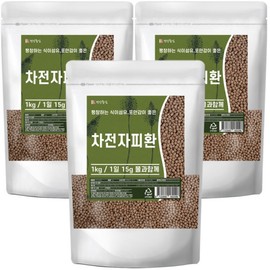 Psyllium husk pills (3 pieces 1kg) Psyllium husk pills that are easy to swallow / 차전자피환 1kg 3개 차전자피 목넘김이 쉬운 환