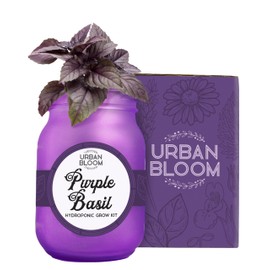 Urban Bloom Hydroponic Herb Growing Kits - Fresh Purple Basil - Indoor Garden System in a Mason Jar - Herb Garden Kit for Indoor Greenhouse - Indoor Plant Hydroponic Growing System w/Fresh Herb Seeds