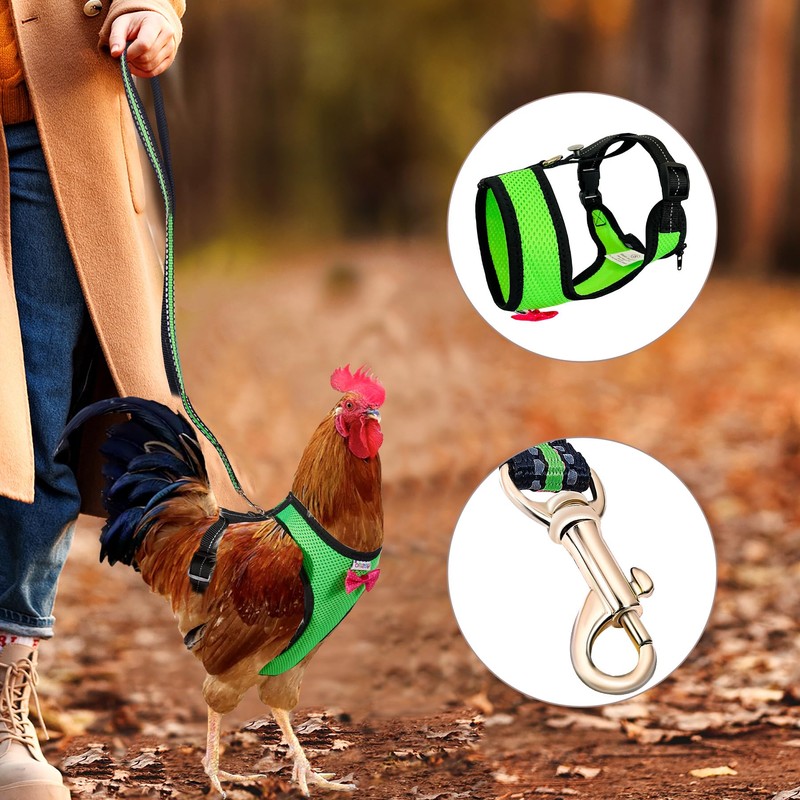 Yesito Chicken Harness Hen Size With6-foot Matching Belt - Adjustable,