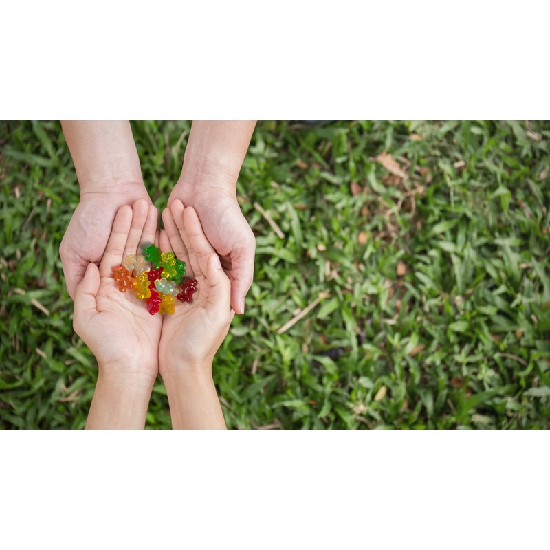 Black Forest Gummy Bears Candy, 4.5 Ounce, Pack of 12