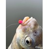 Haldorado 4S Method Pellet Competition Carp Fishing Wafter, 5 mm,