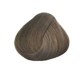 Goldwell Topchic Professionell Hair Colour Depot, 7SB Silber Beige, 250 ml