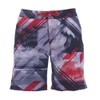 arena Waves Men's Swimming Shorts