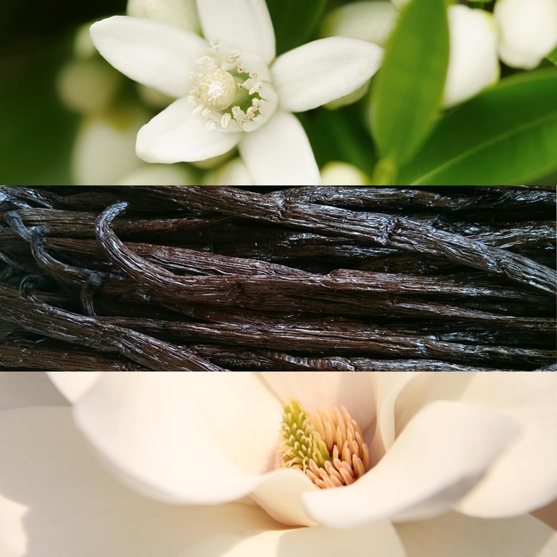 Nux Prodigou Oil 1.7 fl oz (50 ml)