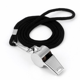 Schiri Whistle, Stainless Steel Whistle with Lanyard, Professional Whistle with Excellent Sound for School Sports, Football Referee, Dog Training, Sports Lessons