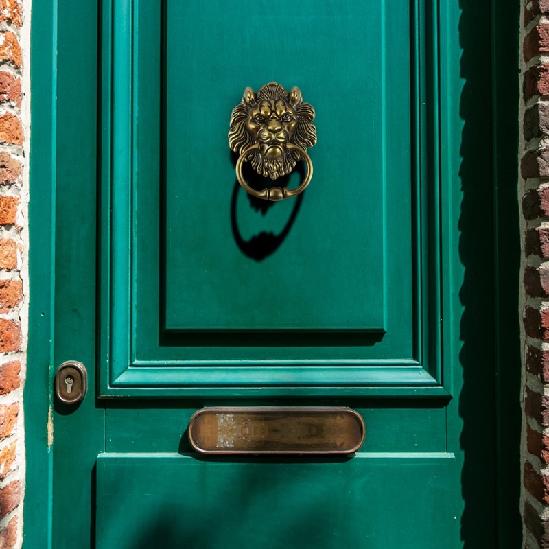 MOLIGOU Lion Head Door Knocker, 6 Inch Decorative Front Door
