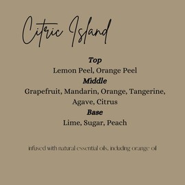 16oz Heavily Scented Carpet Freshener Powder for Pet, Smoke, Dampness and Mildew Odors - Set:_Pink Sugar