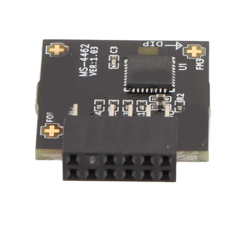 TPM2.0 Module TPM SPI 12Pin Module with SLB 9670 Standalone