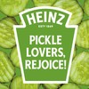 Heinz Tomato Ketchup with Pickle Seasoning, 13.5 oz Bottle
