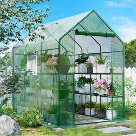 SPECILITE 56×85×77Inch Walk-in Greenhouse, Heavy Duty Small Plant House with Thicken PE Cover and Steel Frame, for Garden, Outdoors, Indoors, Green