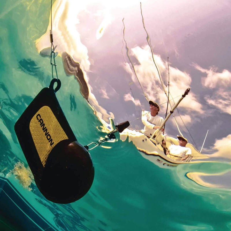 Cannon Terminator Kit