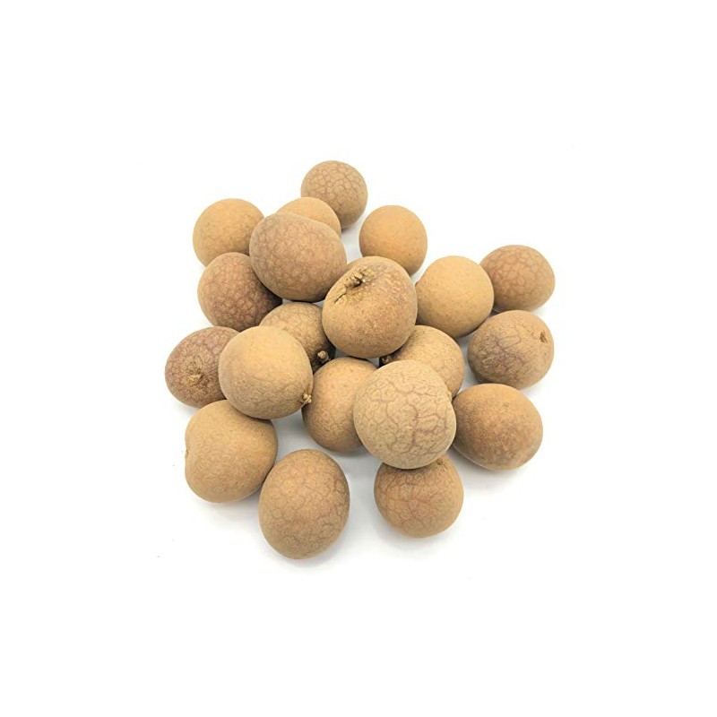 Longan Aril Fujian Specialty Dried Longan with shell 16oz 特产干货桂圓乾龙眼肉干有壳1磅