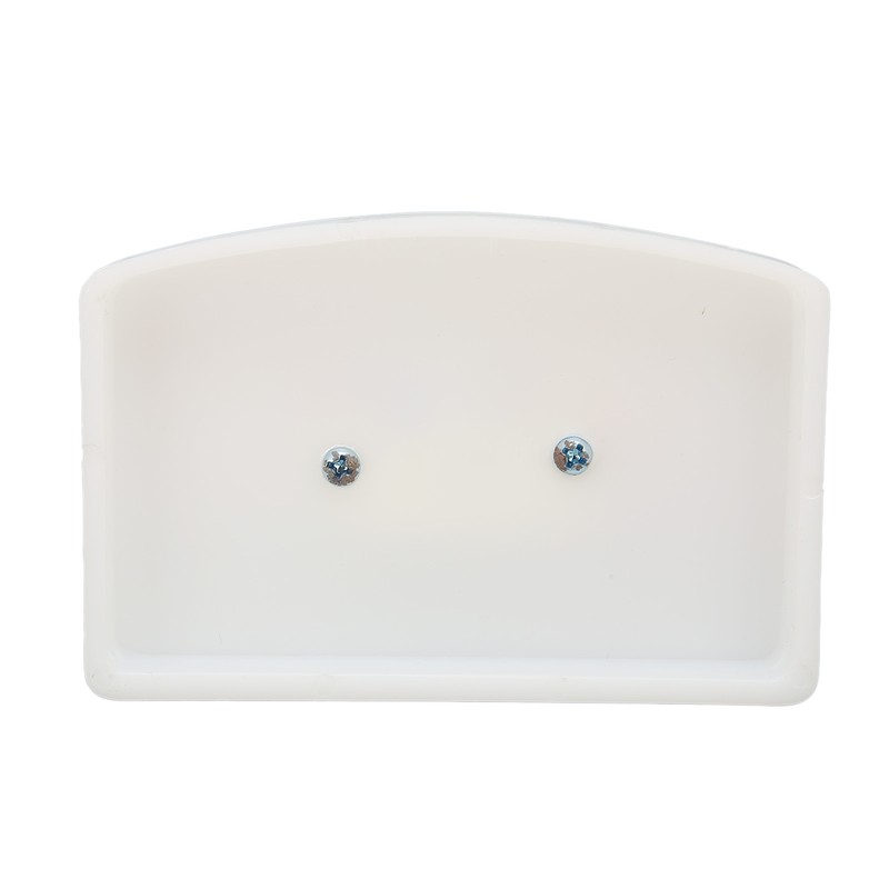 Human Ear Anatomical Model Clear Structure Simulation Inner Ear Model