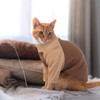 T'CHAQUE Cat Pajamas - Soft Cat Clothes& Shirts & Pajamas