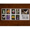 20 FOREVER FIRST CLASS LETTER STAMPS WILD ORCHIDS STAMPS MNH