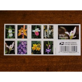 20 FOREVER FIRST CLASS LETTER STAMPS WILD ORCHIDS STAMPS MNH 2020 BOOK PANE