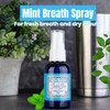 Simply Silver Mint Breath Spray - For Dry Mouth and