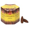 Backflow Incense Cones (Cinnamon) Total 40 Cones - HEM Incense
