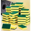 50 Pc Sponge Set