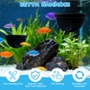 2 Pcs Floating Betta Hide & Shrimp Cave – All-in-One