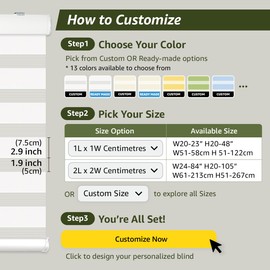 FOIRESOFT Standard Cordless Custom Zebra Roller Shades and Blinds [Basic, Ivory, W 30 x H 64 inch] Dual Layer Sheer for Day and Night Light Control Privacy, 20 to 105 in Height