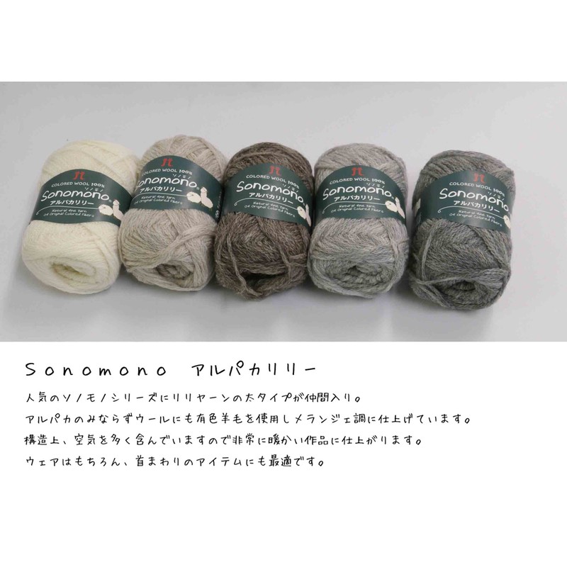 Hamanaka Sonomo 2139 Sonomo Alpacariri Extra Thick Wool Yarn Col.111