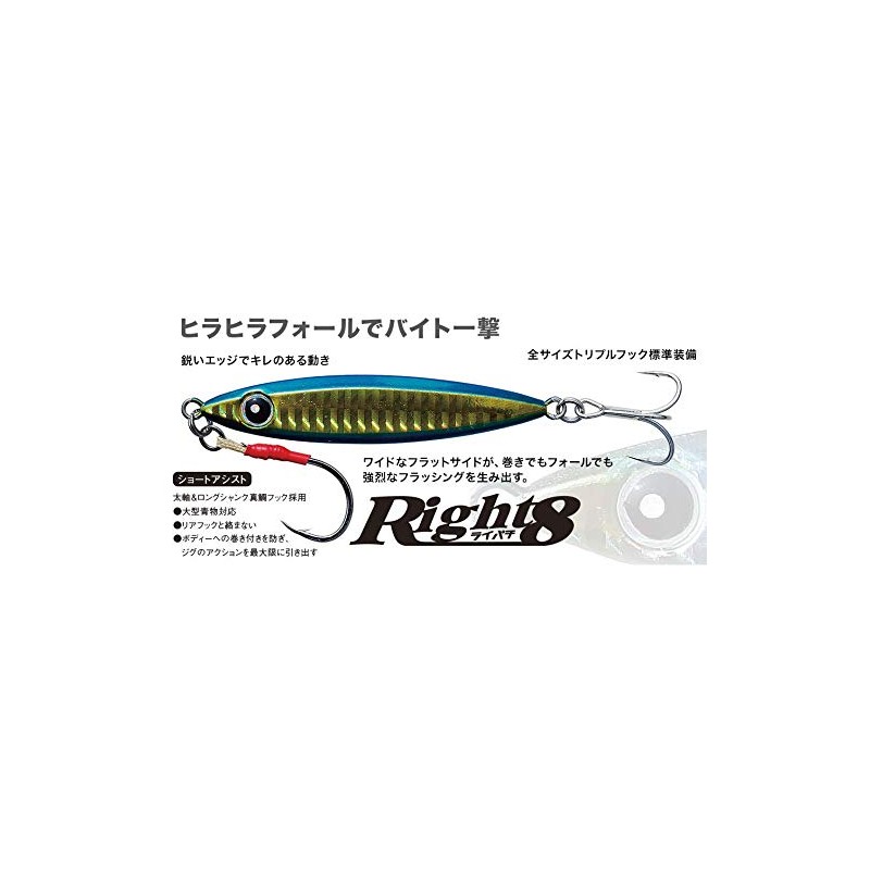 BuddyWorks Metal Jig, Raipachi, 1.1 oz (30 g), BRI Red