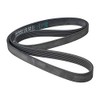 Contitech 6PK1675 V-Ribbed Belts