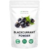Blackcurrant Powder - Pure All Natural Whole Powder for Baking,