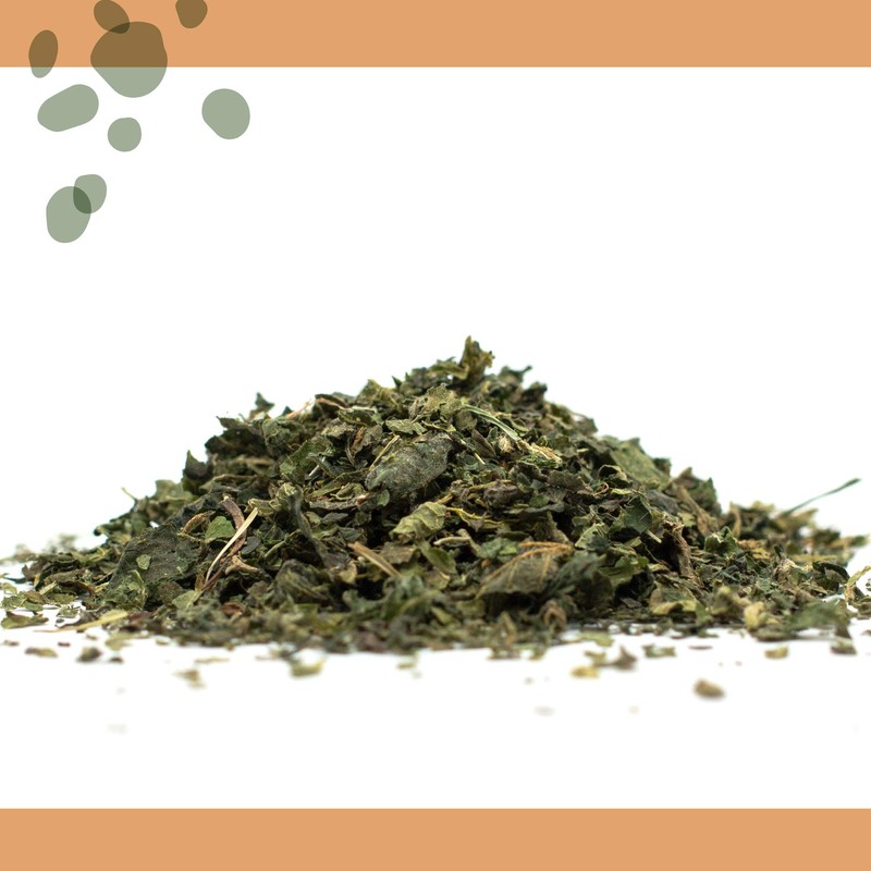 MagJo Naturals Nettle Leaf Tea, 1lb (16Oz) Cut and Sifted: