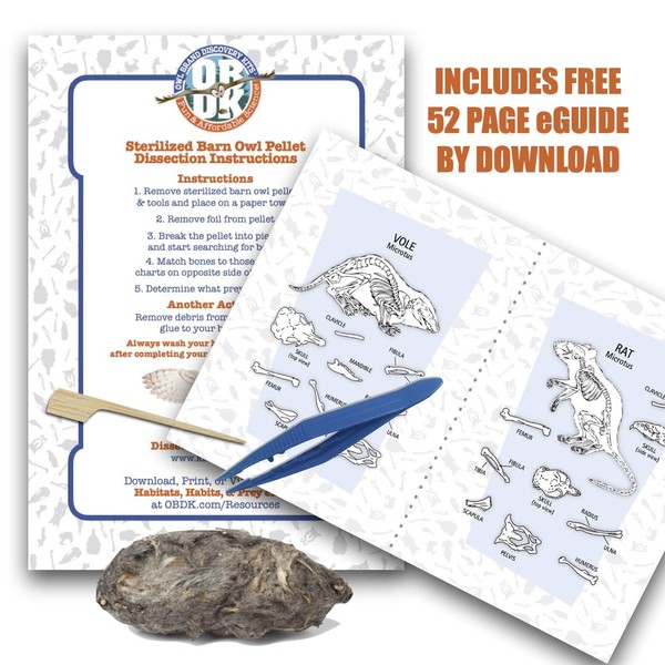 1-Pack OBDK Medium NW Barn Owl Pellet Kit with Tools
