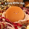 Cartoon Plush Pillow Hand Warmer Cushion for Winter – Soft