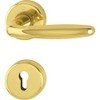 Hoppe Roissy Door Handle Set with Rosette PZ Polished Brass
