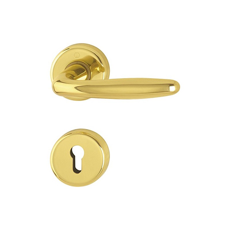 Hoppe Roissy Door Handle Set with Rosette PZ Polished Brass