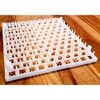 Quail Egg Trays (6 pack)
