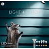 GE LED+ Motion Sensor LED Light Bulbs, Linkable Security Lights,