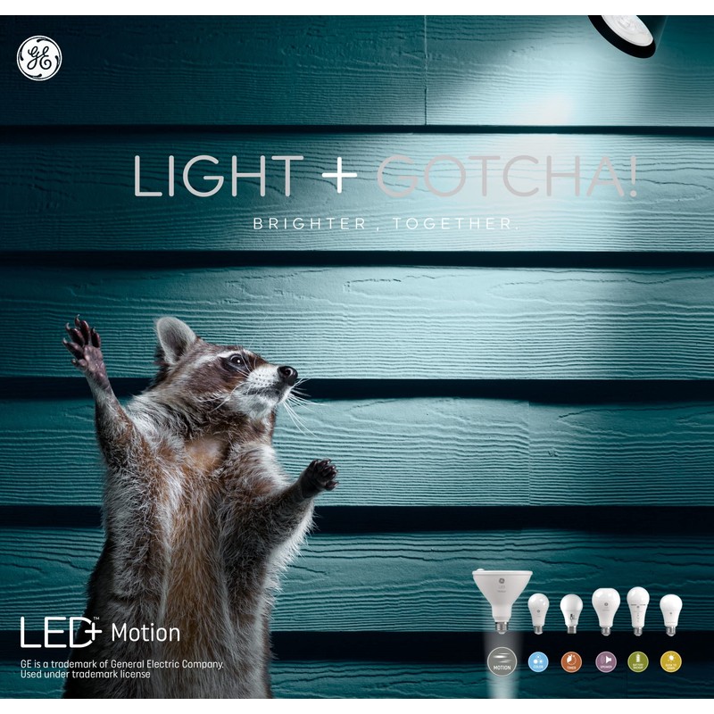 GE LED+ Motion Sensor LED Light Bulbs, Linkable Security Lights,