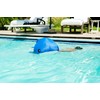 Posh Creations Floating Animal Pool Floats with EPS for Kids,