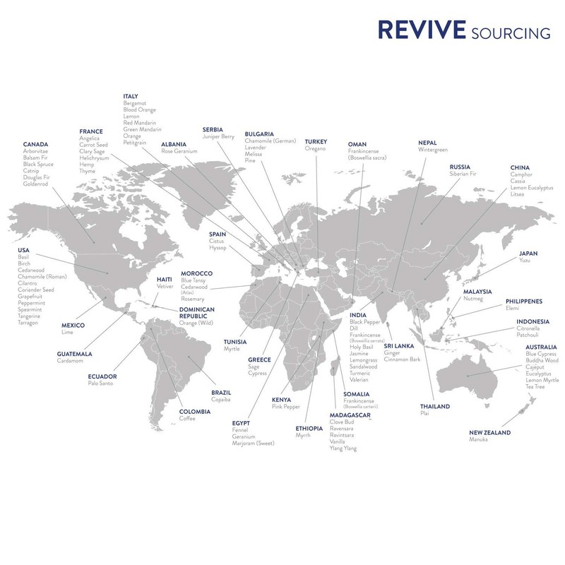 Digest Support Essential Oil Blend by Revive Essential Oils -