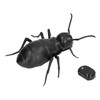 Ant Toy Infrared Remote Control Clear Texture Dynamic Lighting Remote