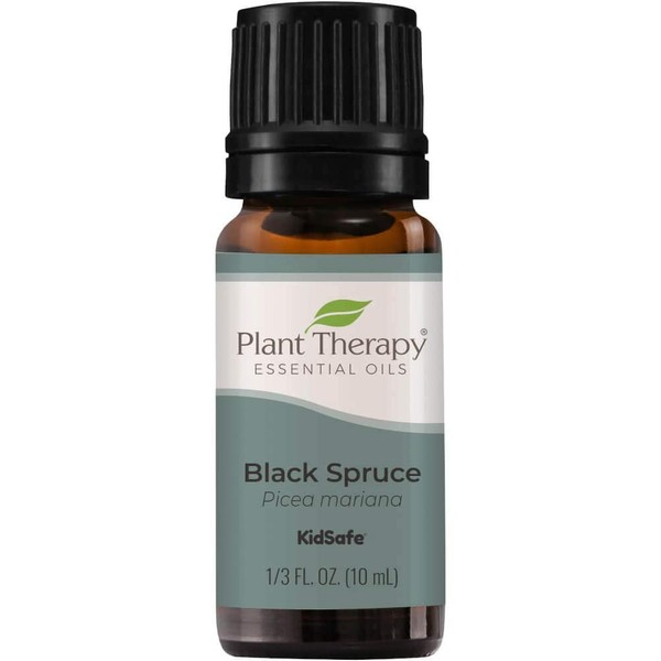 Plant Therapy Black Spruce Essential Oil 10 mL (1/3 oz) 100% Pure, Undiluted, Therapeutic Grade