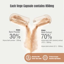 Herbsforever HerbsForever Arjuna Terminalia Arjuna Traditional Wellness Supplement 60 Vege Capsules