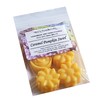 Caramel Pumpkin Swirl Highly Scented Soy Wax Melts