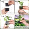 Ztzfacai 1 Pack Hanging Aquarium Plant Holder – 3 Holes