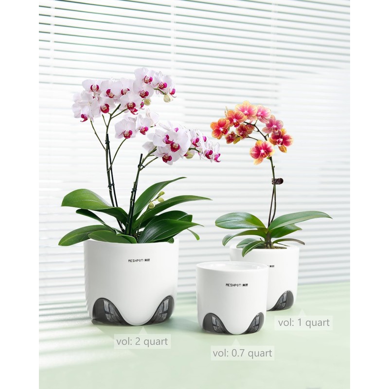 Meshpot 6 inch Orchid Pots with Holes for Repotting with