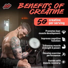Creatine Monohydrate Gummies 5g - Strawberry-Watermelon Flavored Creatine for Men and Women - Supplement for Lean Muscle Gain, Energy, Pre and Post Workout, Focus & Cognition, Recovery, (120 Gummies)