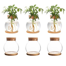 CHPINDAM Plant Propagation Station,Hydroponic Glass Container Vase Jars, with Wooden Saucer for Desks, Houses, Garden Decorations, Home Kitchen Decorations and Gifts for Plant Lovers (6)