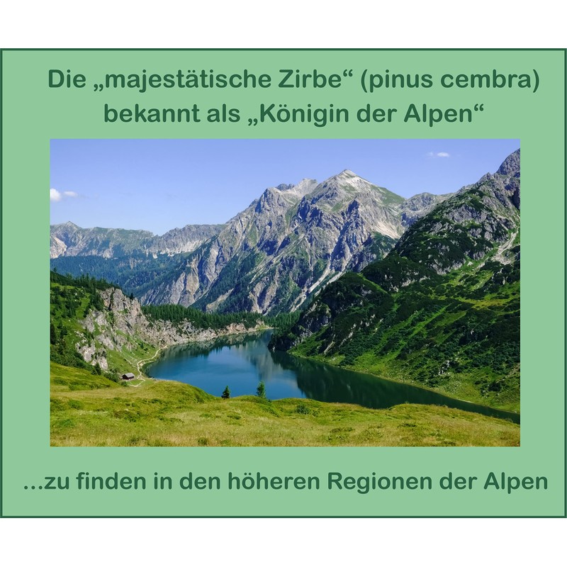 Alpine pine oil with best Swiss pine oil from Austria;